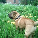 ���� _A_n_g_e_l__, ����� - ��������� 9 ��� 2016 � ������ ���� ����������