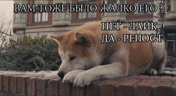    :D - 13  2016  19:37