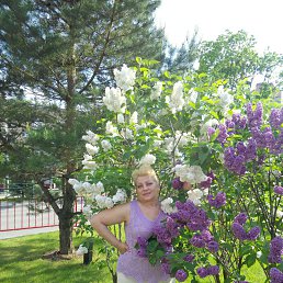 29 ��� 2016�. ������