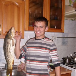 ����, �����, 36 ���