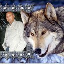 ���� Vitalii, ������, 55 ��� - ��������� 2 ��� 2016 � ������ ���� ����������