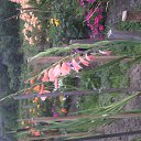 ���� ������, �����, 55 ��� - ��������� 6 ������� 2016 � ������ ���� ����������