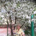 ���� �����, ������ �������, 70 ��� - ��������� 20 ��� 2016 � ������ ���� ����������