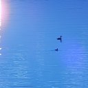 ���� �������, �������, 50 ��� - ��������� 11 ������� 2016 � ������ ���� ����������