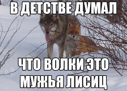 ... - 5  2016  14:26
