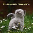 ���� Igor Strannik !!!, ������ - ��������� 20 ������� 2016 � ������ ���� ����������