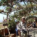 ���� Kazimieras, ����� - ��������� 13 ���� 2016 � ������ �Tenerife�