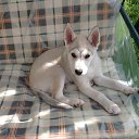 ���� �����, ������ - ��������� 15 ������� 2016 � ������ ���� ����������