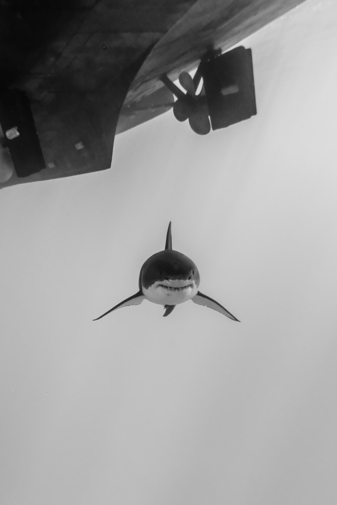 ����� ����� �� George Probst - 7