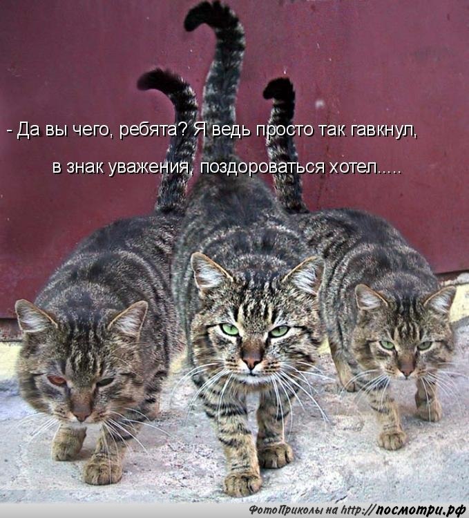��� ���� � ����� �� �� - 16 ����� 2016 � 07:04