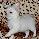 ���� ������, ��������, 66 ��� - ��������� 29 ���� 2016 � ������ ���� ����������