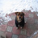 ���� �������, ������, 68 ��� - ��������� 27 ����� 2016 � ������ ���� ���� ������