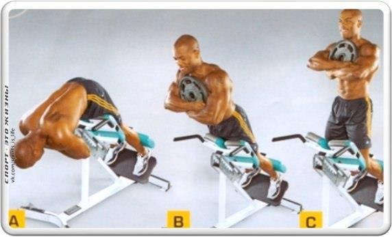 .    .        ... - 6