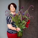 ���� 2016 ��� �� ������� ���� ����������