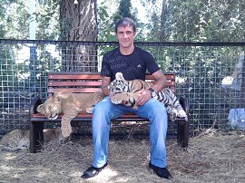 *Dimon*, , ����