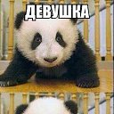 ���� ������, ������������, 45 ��� - ��������� 20 ���� 2016 � ������ ��������������