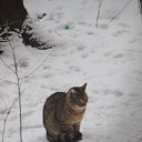 ���� �������, �����-���������, 55 ��� - ��������� 3 ������� 2016 � ������ ��������