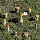 ���� �����, ������������, 59 ��� - ��������� 16 ���� 2016 � ������ ������ �����.�