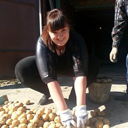 Flower, �������, 40 ���