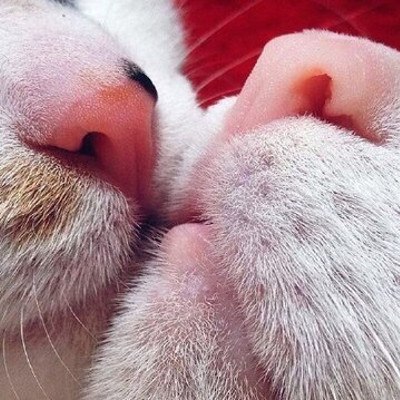 ������ ������� ������. ������� �����, ����������� ��������, �������� ������� � ������� �����, ... - 3