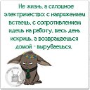 ���� �������, ������ - ��������� 16 ��� 2016 � ������ ������ ��������