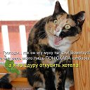  ,  , 63  -  12  2016    