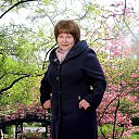 ���� �������, ��������, 67 ��� - ��������� 1 ��� 2016 � ������ ���� ����������