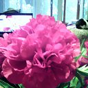 ���� ������, ���������, 51 ��� - ��������� 9 ���� 2016 � ������ ���� ����������