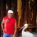 ���� ������, �������� - ��������� 7 ������� 2016 � ������ ���� ����������