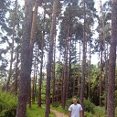 ���� �����, ������, 36 ��� - ��������� 8 ���� 2016