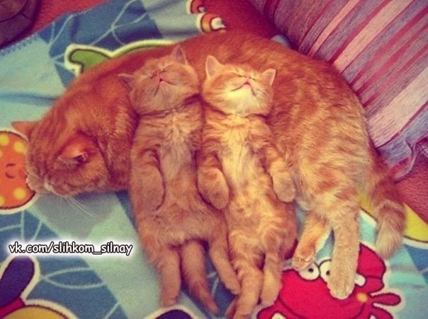 ����� ������...