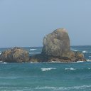 ���� ����, �������� - ��������� 14 ����� 2016 � ������ �SRI - LANKA - ( P ) 2016�