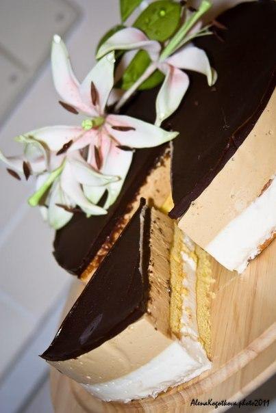 ���� ������ ������. ����-����� � ������� � ����� �� ���������, ������� �������� ������� � ���������. ...