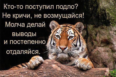 .https://fotostrana.ru/away?to=/sl/kxC2 - 8  2016  10:56