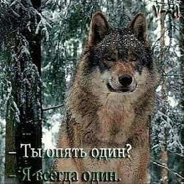 ���� ���, ����, 45 ��� - ��������� 29 ����� 2016