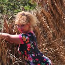 ���� ��������, ��������������� - ��������� 1 ������� 2016 � ������ ������ 2016�