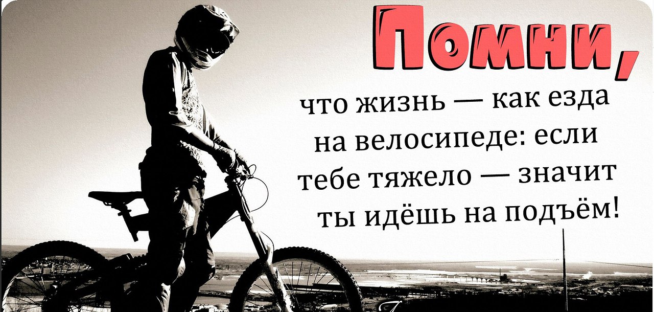 Никогда в жизни не раньше. Цитаты. Мотивационные фразы. Мотивационные цитаты. Фразы про велосипед.