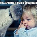 ���� ������, ������������, 46 ��� - ��������� 4 ���� 2016 � ������ ���� ����������