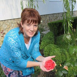 ���� �����, �����-���������, 52 ���� - ��������� 25 ���� 2016