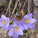 ���� �������, �����, 65 ��� - ��������� 25 ��� 2016 � ������ ������ �!�