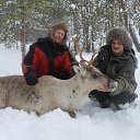 ���� �������, ������������, 52 ���� - ��������� 4 ��� 2016