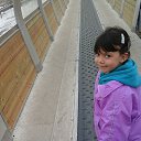 ���� ����, ������, 49 ��� - ��������� 23 ������ 2016 � ������ ���� ����������