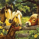 ���� ����, ������-��-����, 58 ��� - ��������� 28 ������� 2016 � ������ ������ ��������