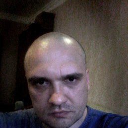 ���� Shelest, ����, 50 ��� - ��������� 3 ���� 2016