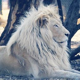 ������, ���, 42 ����