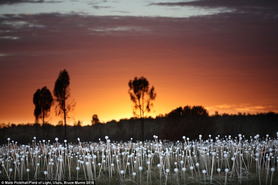     Bruce Munro - 4