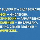 ���� �����, ������-��-����, 61 ��� - ��������� 3 ���� 2016 � ������ ������ ��������