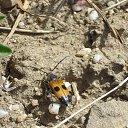 ���� Serg, �����������, 59 ��� - ��������� 2 ��� 2016 � ������ ���� ����������