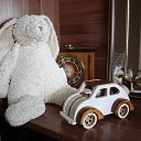 ���� ����, �����-���������, 41 ��� - ��������� 8 ��� 2016 � ������ ���� ����������