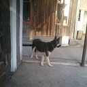 ���� ��������, ������, 64 ���� - ��������� 7 ��� 2016 � ������ ���� ����������